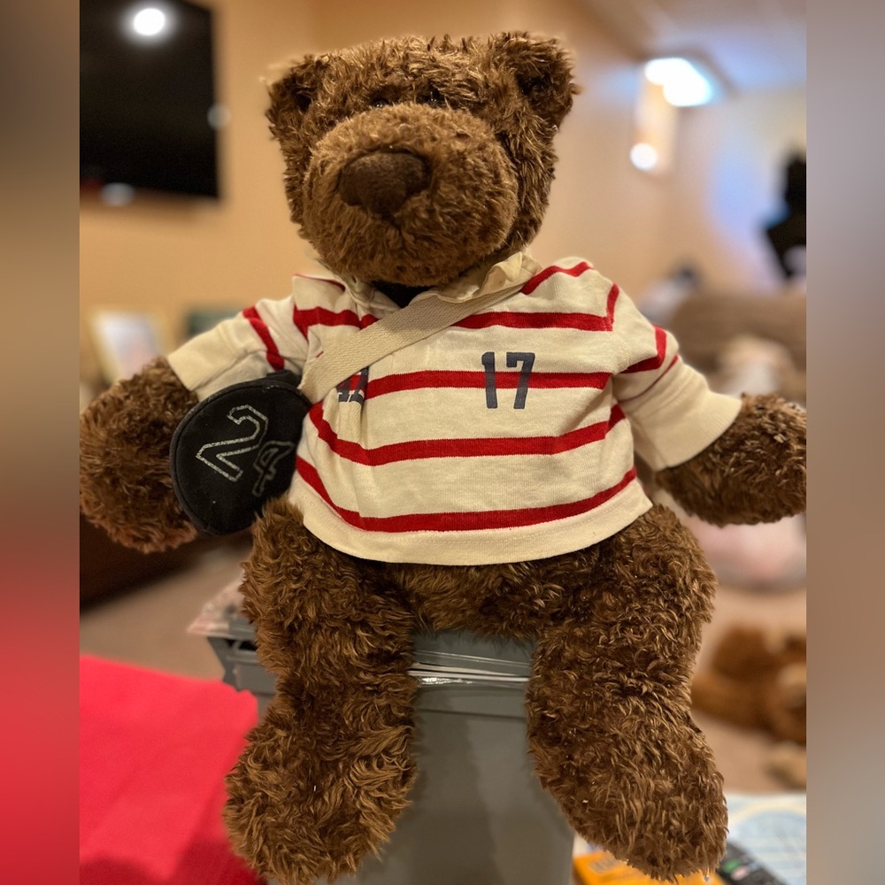 AE Gund Roscoe Bear. EUC 20”